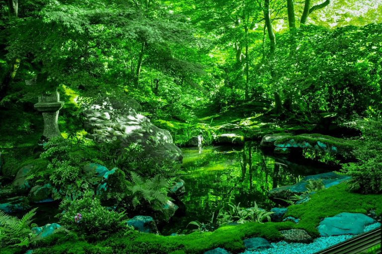 瑠璃光院／比叡山ウェブ