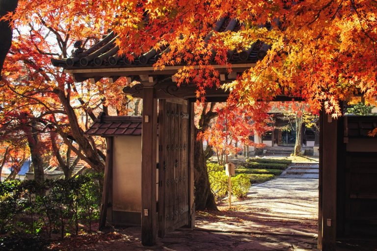 西教寺／比叡山ウェブ