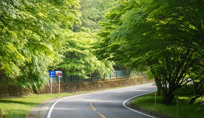 新緑の比叡